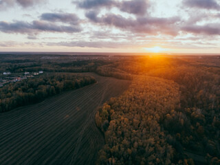 Autumn forest and river. Panorama. Scenery. Landscape. Photo from a quadcopter.