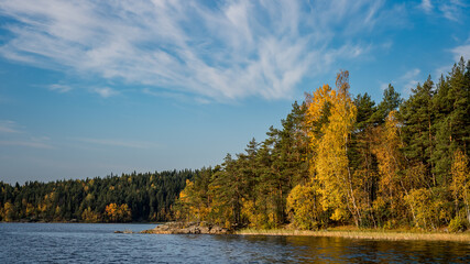 autumn forest with yellow trees on the lake shore