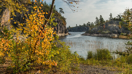 autumn trees on the lake shore in autumn