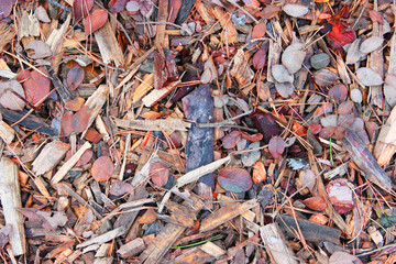 wood sawdust. pieces of tree bark . Brown wood texture. Abstract wood texture background. using wood bark as a natural background.