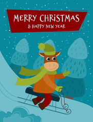 Funny bull sledding from a snowy mountain. New year banner for your design. Vector Christmas card.