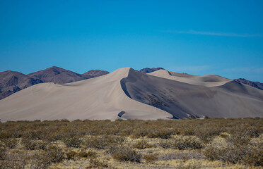 Fototapeta na wymiar Big Sand Dune is a surprise in the Nevada high desert.