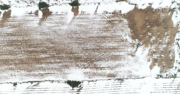 Cultivos mediterr&aacute;neos nevados