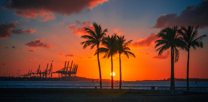 Sunset On The Beach Tropical Sun Palms Beautiful Sky Orange Panoramic 