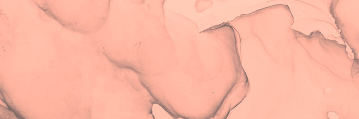 Wedding Invitation.  Transparent Coral Wallpaper.