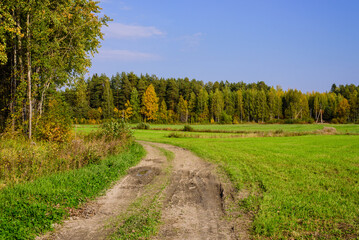 Fototapeta na wymiar rural Russia. Beautiful autumn landscape. Scenic dirt road in green meadow, Leningrad region, Russia