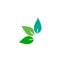Green leaves, design sign, symbol, logo on white