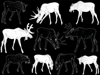 ten moose sketches on black