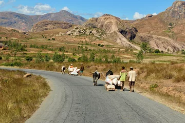 Fototapeten traditioneel transportmiddel in Madagaskar © Marieke