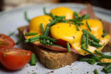 Macro close up of isolated toast bread with ham, chives, tomatoes gratinated with melted cheddar cheese on china dish