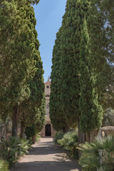 Cypress tree corridor with religious building in the background.