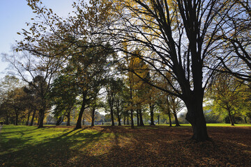 Paderborn Auenpark in autumn