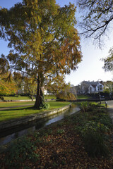 Paderborn, Paderquell area in autumn