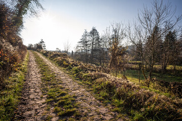 Siefersheimer Horn bei Neu-Bamberg