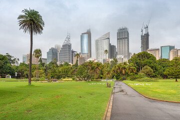 Fototapeta na wymiar Sydney, New South Wales, Australia ; A view of high rise office buildings as seen from the Botanical Gardens in Sydney.