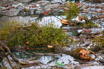 environmental problem in Ukraine 2021