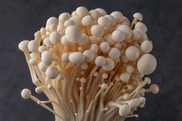 Fresh Enoki mushrooms on black background with selected focus.Enoki, also known as velvet shank, is a species of edible mushroom in the family Physalacriaceae.