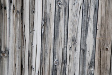 old wood panel / door light brown