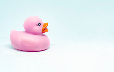 The profile of a pink rubber duck with an orange beak isolated on a white background