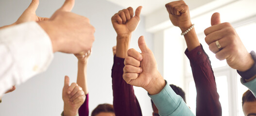 Fototapeta premium Group of people raising hands and giving thumbs-up, celebrating success and teamwork