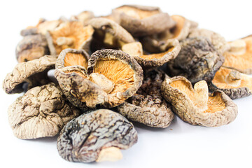 Shitake Mushroom Closeup in white background