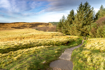 Fototapeta na wymiar Peak District National park Shutlingsloe a hill near the village of Wildboarclough, in the east of the county of Cheshire. It stands to the south of Macclesfield Forest in autumn colour