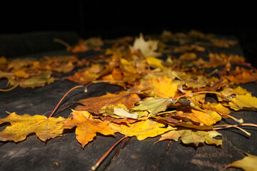 Yellow autumn leaves on a wooden park table at night, close up