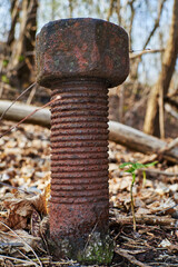 A huge screw with nut in an autumnal terrain in Berlin, Germany.