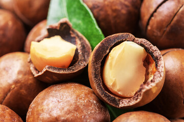 Chipped macadamia nut with green leaf, close-up.