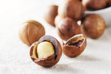 Macadamia nut scattered on a light table in the morning.