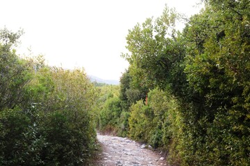 Fototapeta premium Rund um Erimitis Korfu