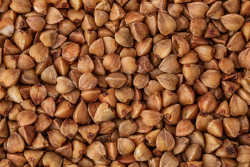  Close-up buckwheat background.Buckwheat. fresh buckwheat.