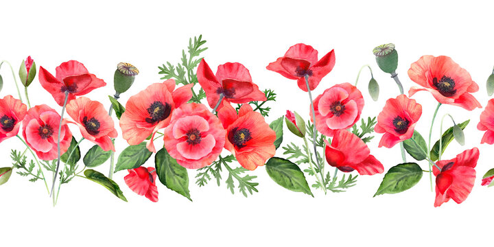 Horizontal seamless border with red poppy flowers. Botanical floral garland isolated on white. Watercolor illustration for decoration, textile printing, invitation and greeting cards.