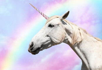 Magic unicorn in beautiful sky with rainbow and fluffy clouds. Fantasy world © New Africa