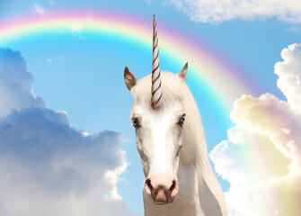 Magic unicorn in beautiful sky with rainbow and fluffy clouds. Fantasy world © New Africa