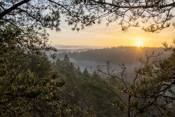 Sunrise over trees inbedded in fog