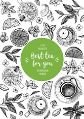 Tea vector illustration. Citrus and tea leaves. Healthy drink. Hand drawn sketch. Engraved style. Can used for vintage package design with tea product. Vector hand drawn set.