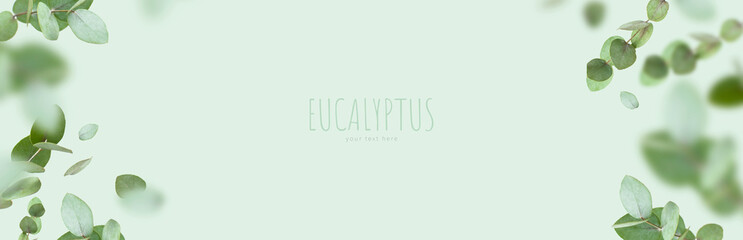 Flying fresh green branches of eucalyptus on light green background. Flat lay, top view, mock up....