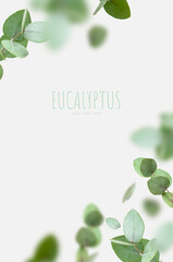 Flying fresh green branches of eucalyptus on light gray background. Flat lay, top view, mock up. Nature eucalyptus leaves background. Eucalyptus branches pattern. Floral frame, layout for design © olgaarkhipenko