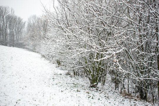 Winter landscape. Snow on trees. Lovely winter photo