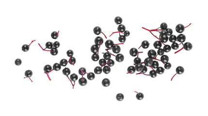 Top view of Elderberries isolated on a white background. Black Elderberry. Sambucus.