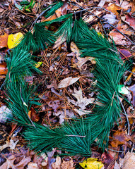 Circle up the pine bits on the forest floor.