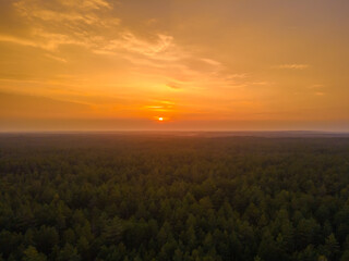 Aerial view of an orange sunset over the forest