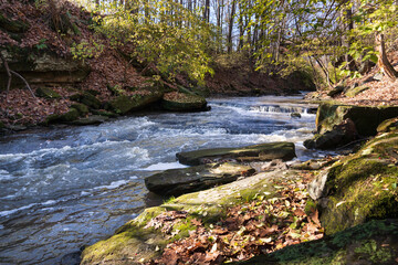 Afternoon look at a creek feeding the West branch of the Rocky River.