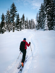man skiing up through the trees