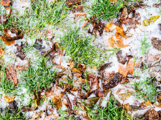 top view of ice-covered frozen lawn with fallen leaves after freezing rain on cold autumn day