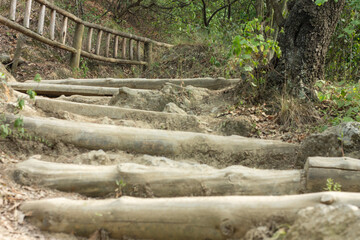escaleras de piedra o madera en el bosque