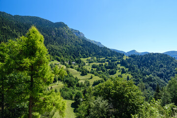 Fototapeta na wymiar Old beautiful Zgornje Danje village in Slovenia on summer day