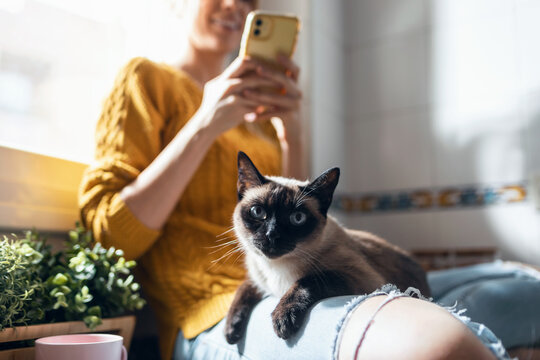 Pretty young woman with her cute cat using mobile phone while sitting on kitchen table at home.