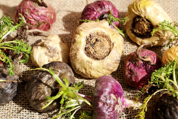 Peruvian Maca. Aphrodisiac root. Energetic and increases vitality